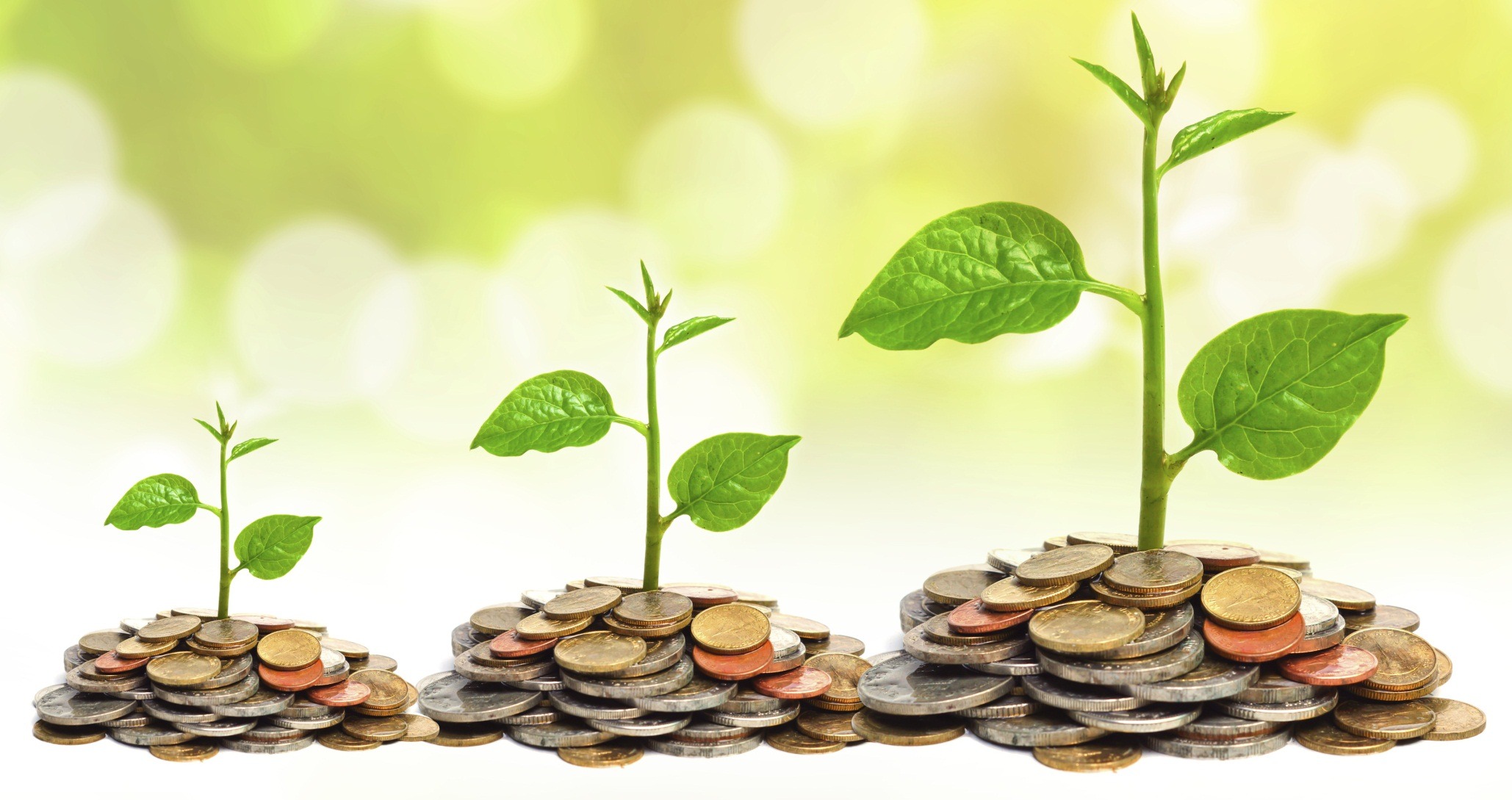 tress growing on coins